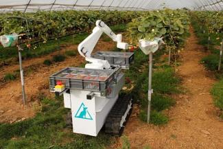 robotic fruit picker