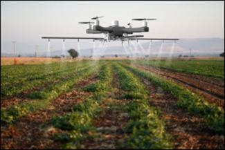 A Drone Spraying a Field